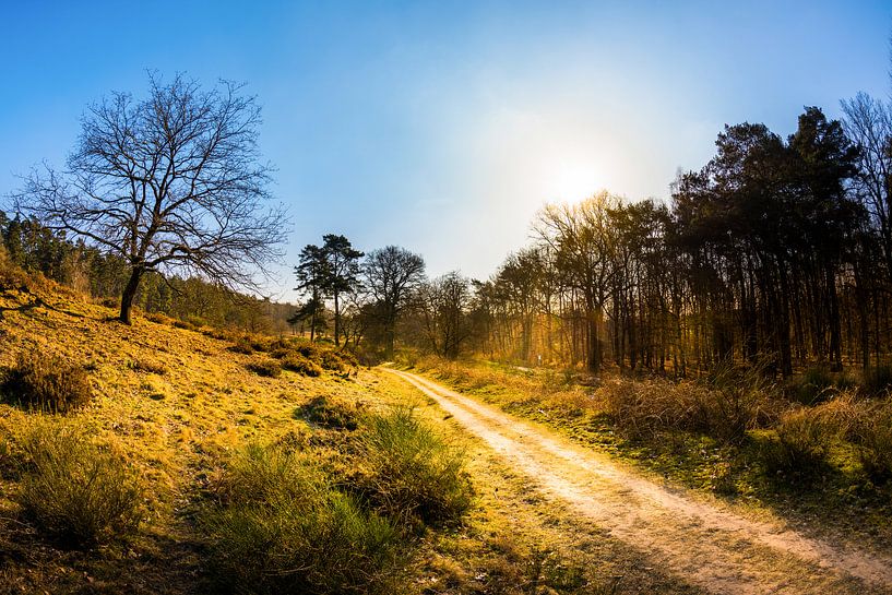 Sonnenaufgang in der Natur par Günter Albers