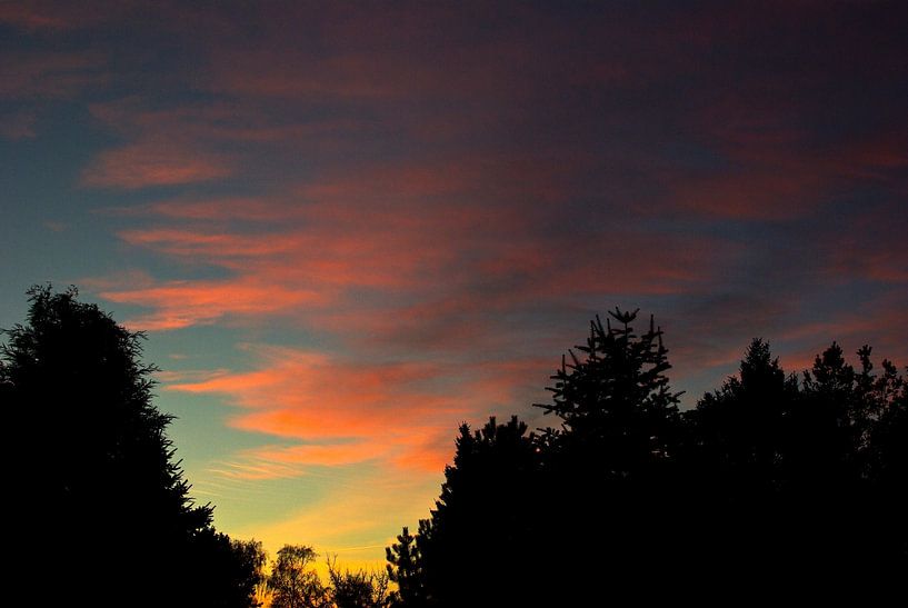 Ambiance du soir par Norbert Sülzner