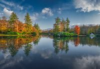 Autumn colours by the pond at Paleis het Loo