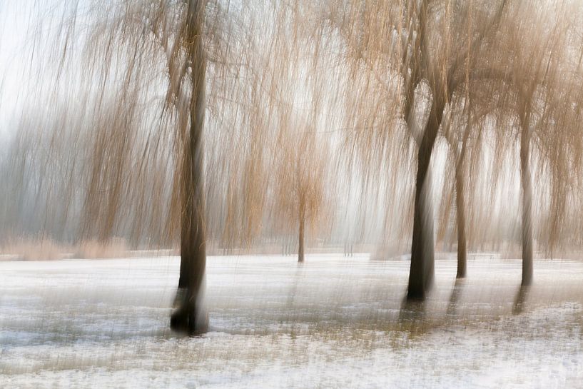 Paysage pittoresque par Shadia Bellafkih