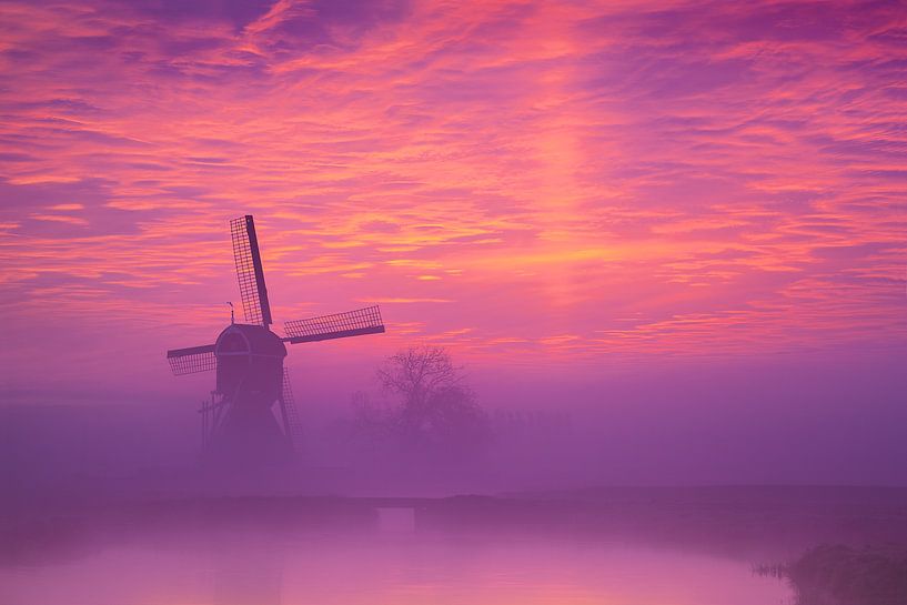Glühen am frühen Morgen von Halma Fotografie
