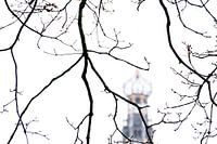 Tower of the Grote Sint Bavokerk in Haarlem, the Netherlands