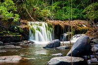Small waterfall in the Kabalebo River, Suriname
