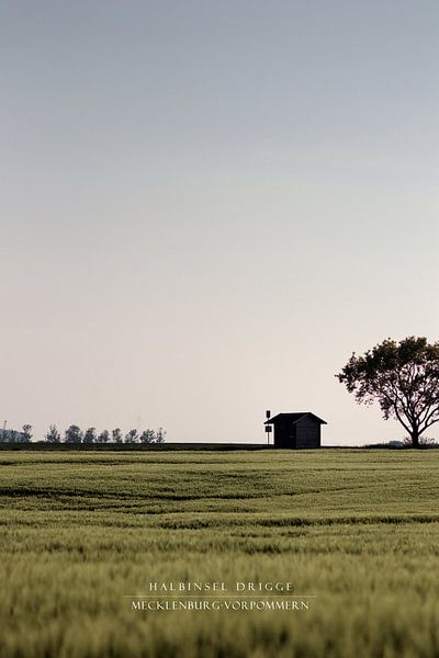 The Island of Rügen (frameless) by Felix Lachmann