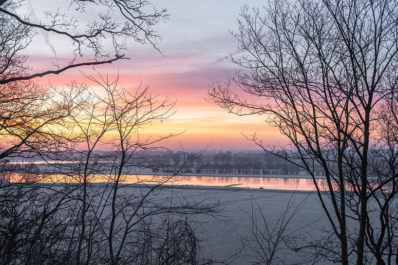 Arboretum part 11 van Tania Perneel