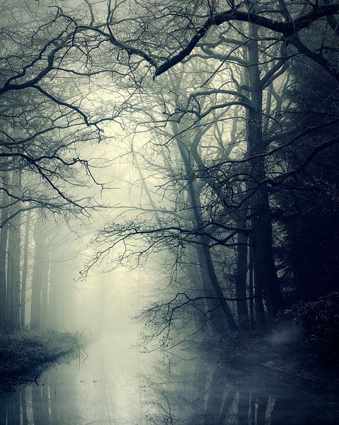 Une sorte de magie par Kees van Dongen