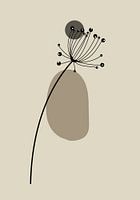 Dessin botanique style bohème.