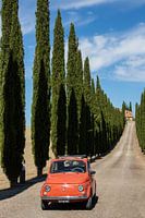 Fiat à Cypress Avenue (11)