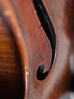 Violon Closeup 01 | Image