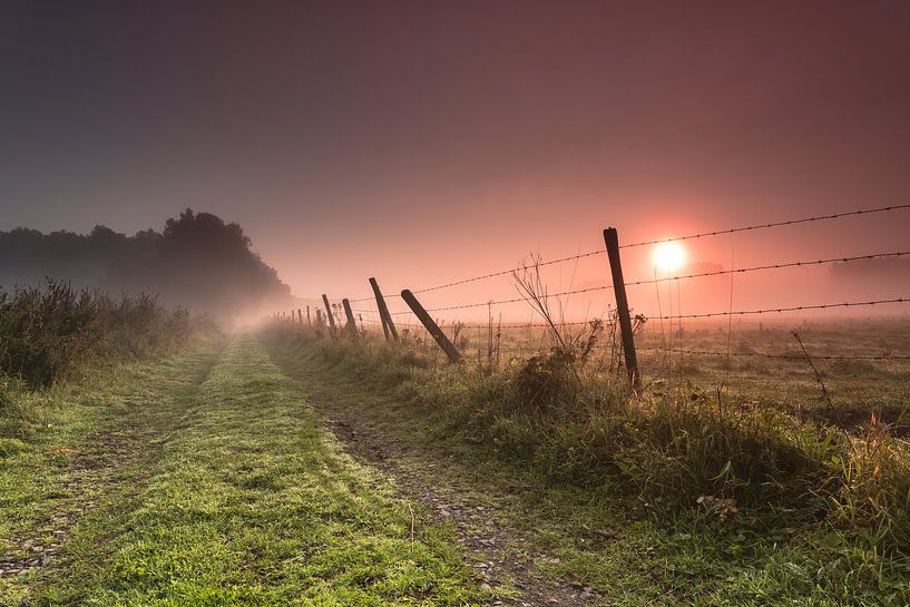 Welden Awakens von Dion van den Boom