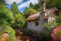 Summer colors in southern France