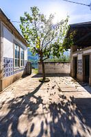 Reisebericht: Porto und die Weinregion am Douro-Fluss