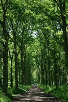 Mooie foto van de natuur.