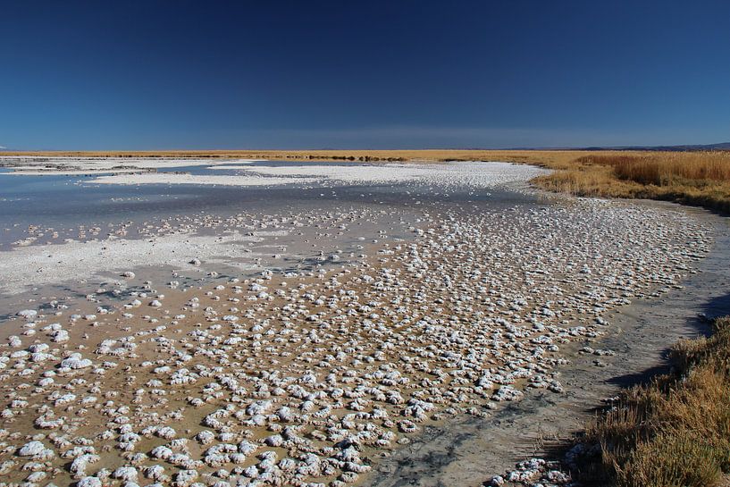 Salt crystals Altiplano Bolivia by A. Hendriks