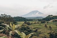 Vues du paradis : Rizières et Mont Agung dans l'enchanteresse Bali