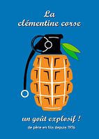 Clémentine Corsica Bastia Ajaccio FLNC