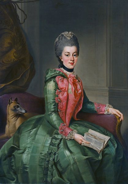 Frederika Sophia Wilhelmina Königin der Niederlande von Diverse Meesters