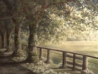 Frühling - Morgenstimmung