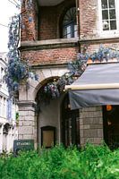 Glycine, à l'intérieur du Tag Gand