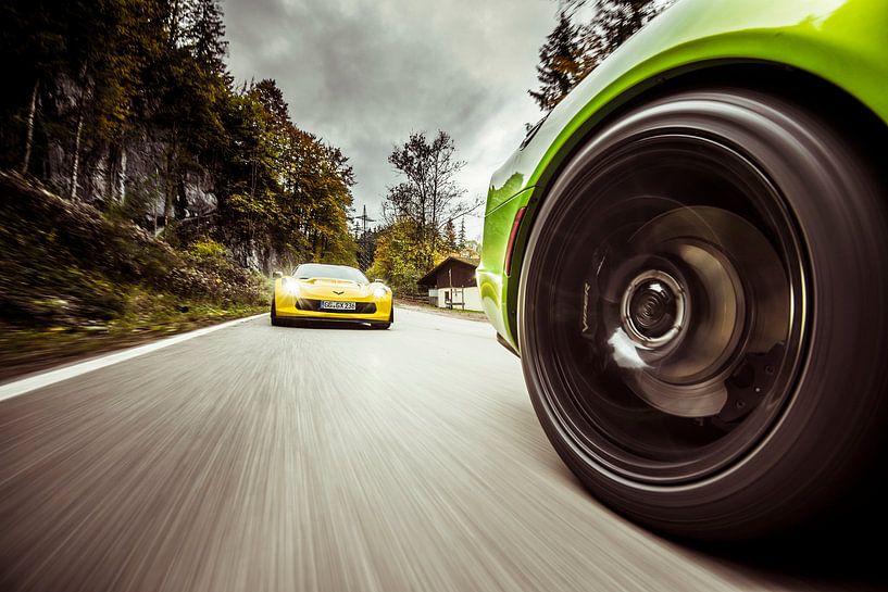 Viper Hunt par Sytse Dijkstra