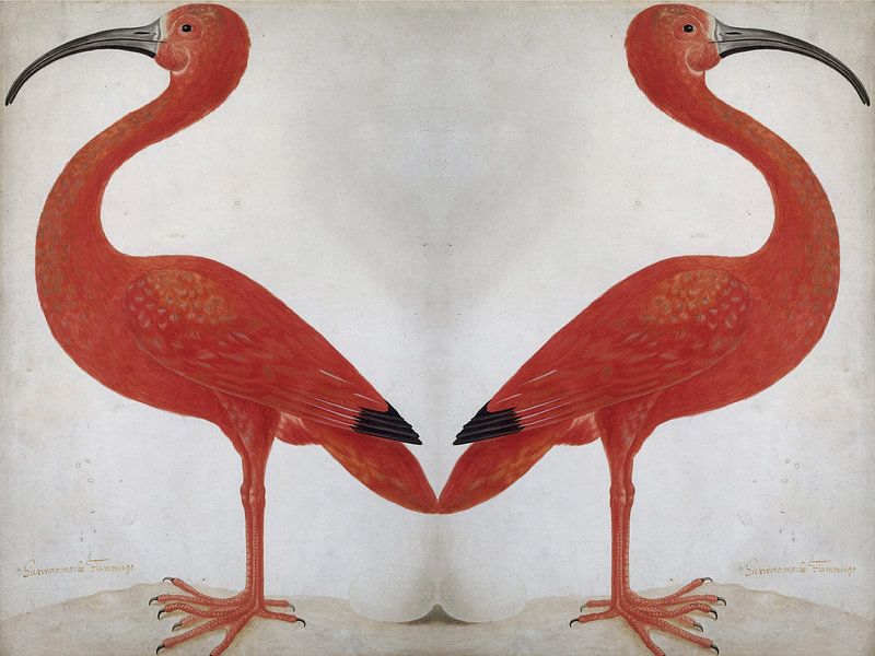 Mirrored Flamingo's with an egg. by StudioMaria.nl