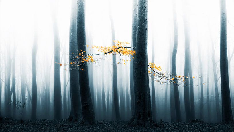 Speulder revisited by Lars van de Goor