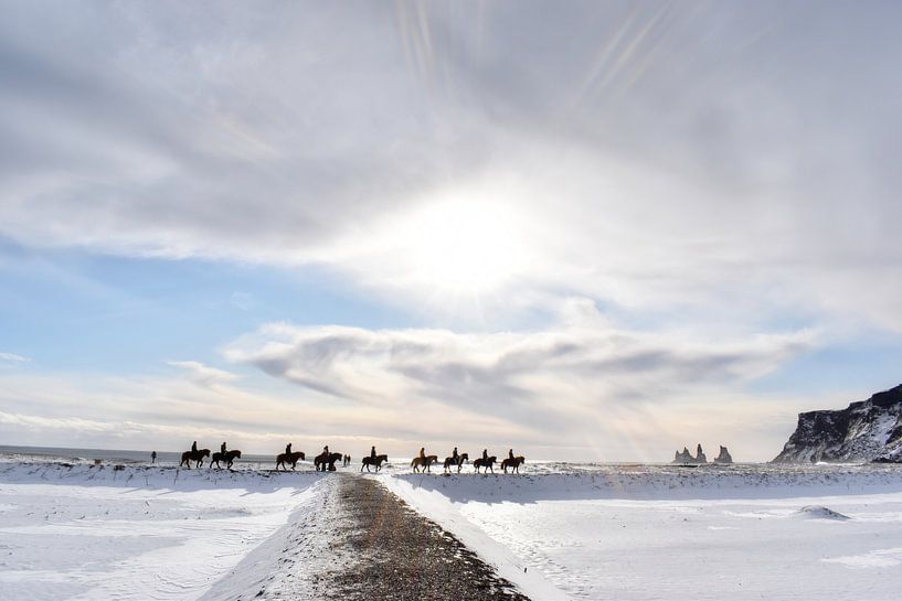 Icelandic Horses by Roith Fotografie