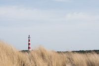 Phare dans les dunes