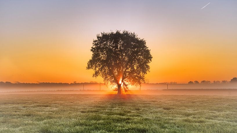 Sonnenaufgang über den Feldern von Rudi Everaert