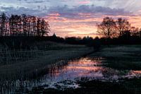 Colourful sunrise on the Gastel Low