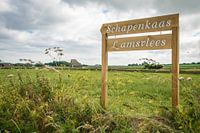 Producten van het Texelse schaap