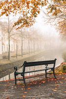 Matinée brumeuse à Amersfoort