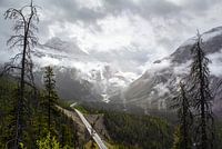 Icefield parkway