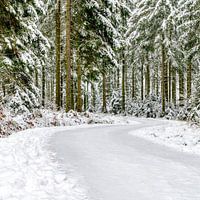 Idyllic snow landscape