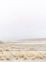 Windige Dünenlandschaft