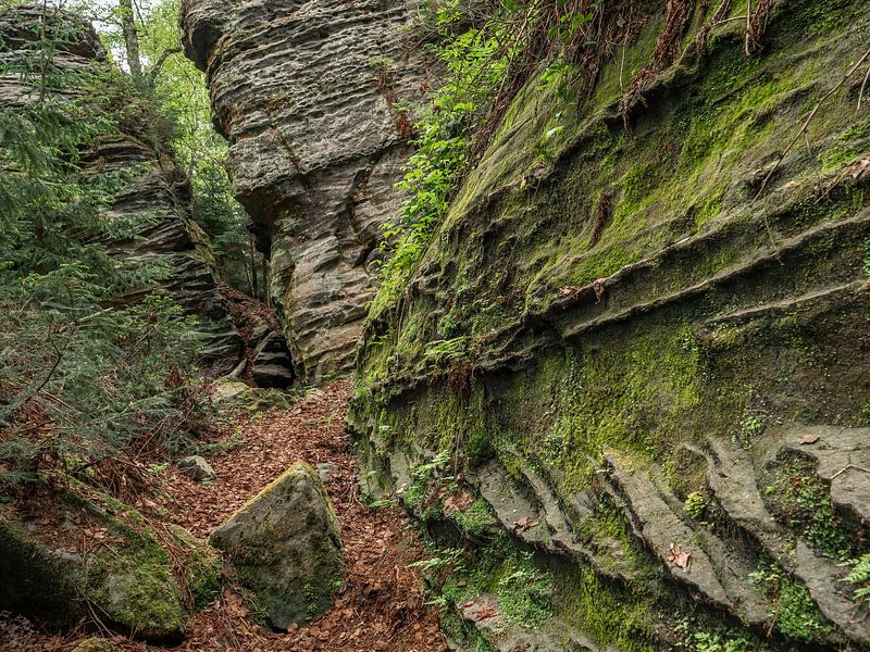 Bielatal, Saxon Switzerland - Green rock face at Zauberberg by Pixelwerk