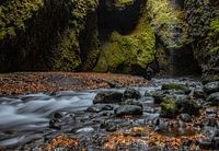 Isländischer Wasserfluss