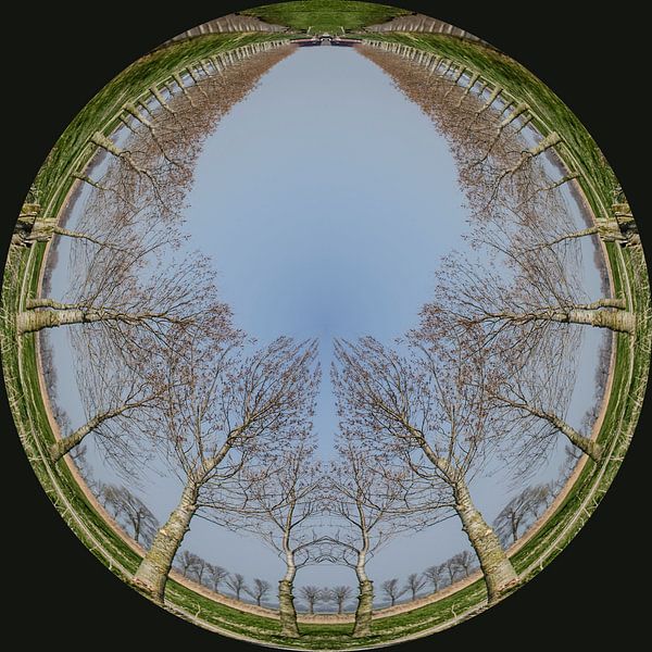 Button trees, black. by Greet ten Have-Bloem