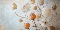 Physalis in Sepia