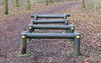 Fitness equipment in a forest - One stage of many