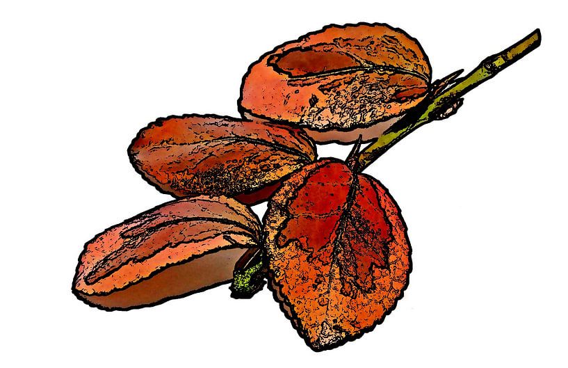 Blätter von Jose Lok