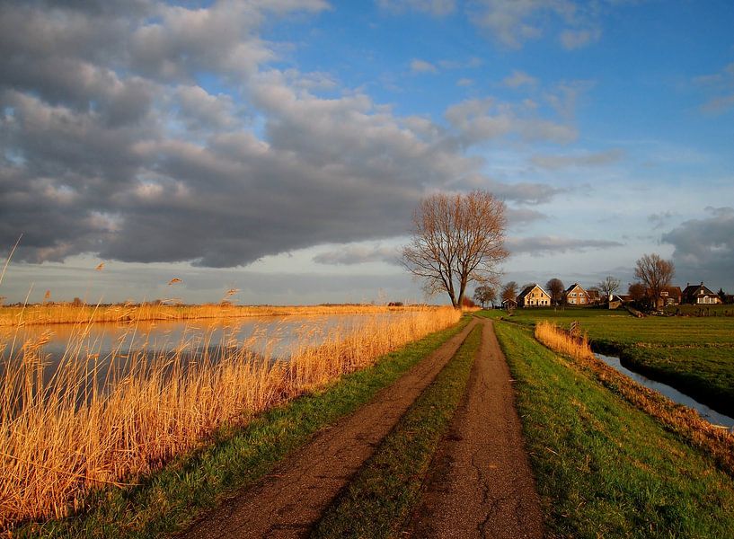 le Donk par Annemieke van der Wiel