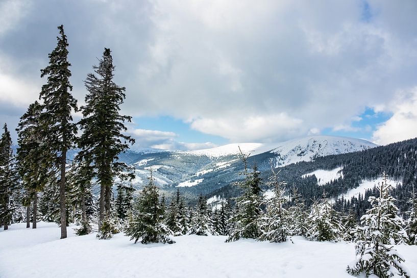 Winter with snow in the Giant Mountains, Czech Republic by Rico Ködder