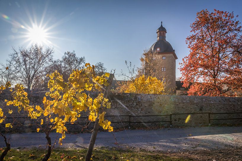 Herbsttag bei Schloss Vollrads by Christian Müringer