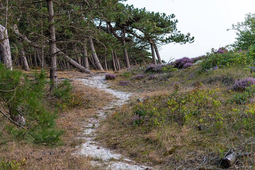 Path to the Kerf by Rob Donders Beeldende kunst