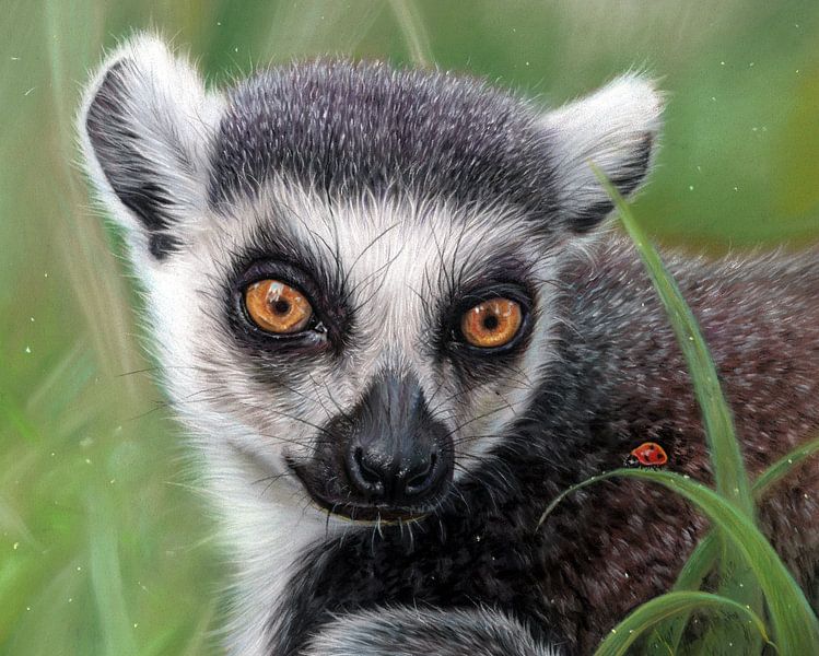 Ring-tailed lemur drawing Leontine van Vliet by Leontine van Vliet