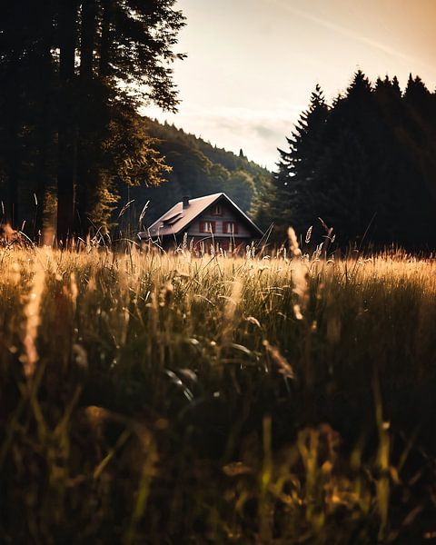 Outdoor adventures in autumn by fernlichtsicht