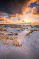 Golden hour on Texel.