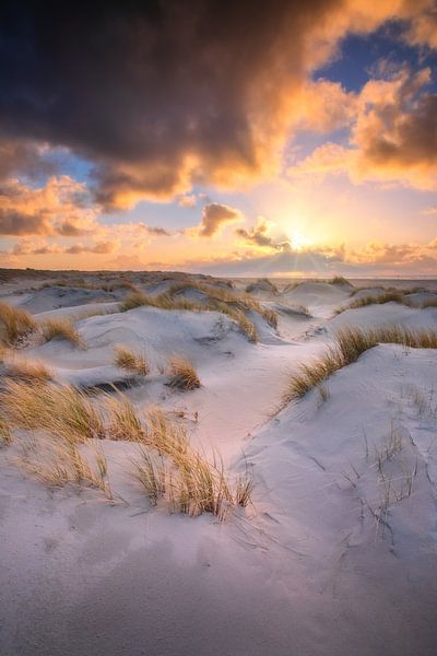 L'heure d'or à Texel. par Photographie de Justin Sinner (Photographe à Texel)