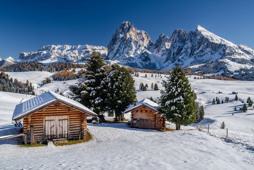 Herbstwinter auf der Seiser Alm in den Dolomiten von Achim Thomae Photography